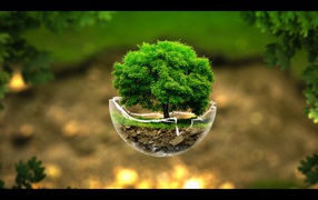 Tree in a glass Cup