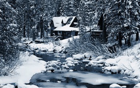 Одинокий дом в зимнем лесу