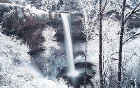Waterfall in winter forest