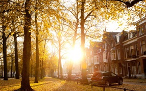 Autumn day in Utrecht