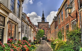 The street in Holland