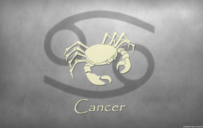 Cancer sign on a gray background
