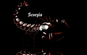 Скорпион, креативный рисунок