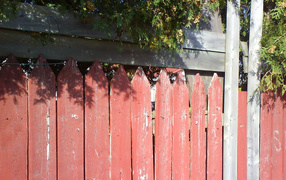 Find the cat on the fence