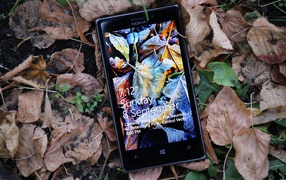 Nokia Lumia 925 в листве
