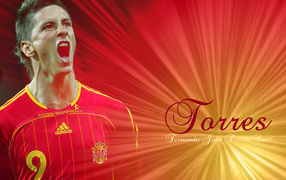 The fearless football player of Chelsea Fernando Torres