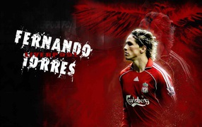 The forward of Chelsea Fernando Torres