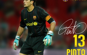 The player of Barcelona José Pinto
