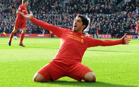 The player of Liverpool Luis Suarez on the field