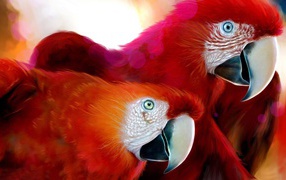Parrots widescreen