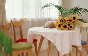 	   The puppy is sleeping on the table