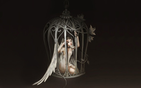 Angel in cage