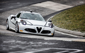 New car Alfa Romeo 169 