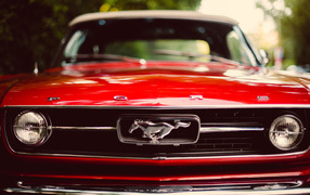 Bumper red Mustang