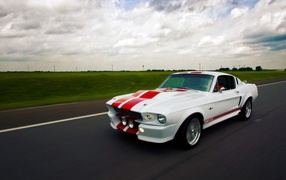 	   Ford Mustang on the road