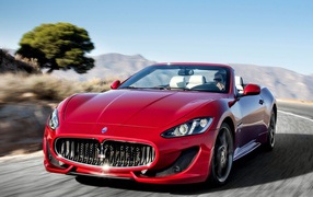 	   Red Maserati sports