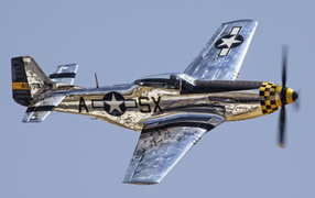 	   The plane Mustang