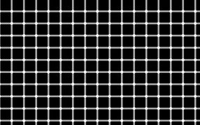 Оптическая иллюзия с решеткой
