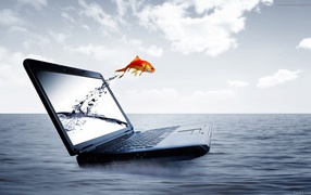 Fish with a laptop screen HP