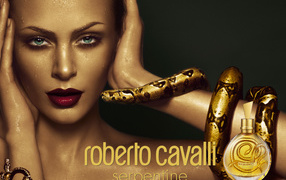 Perfumes from Roberto Cavalli