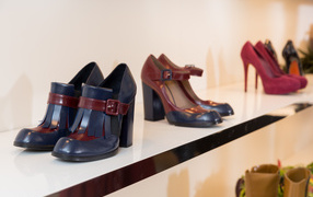 Обувь от модного бренда Baldinini