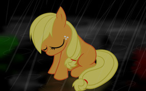 	   Little pony in the rain