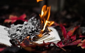 Burn the book in the autumn leaves
