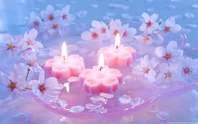 Burning candles among the flowers
