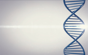 DNA ladder of life