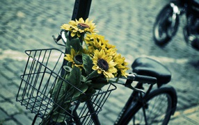 Философия в картинках - Страница 29 Creative_Wallpaper_Sunflowers_in_bicycle_basket_082379_32