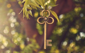The key hanging on a branch