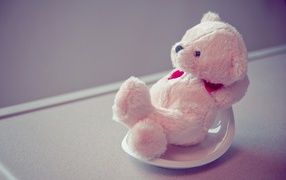 White Teddy bear