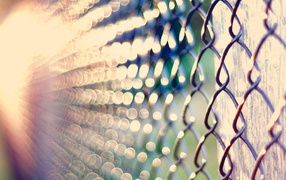	   Fence netting