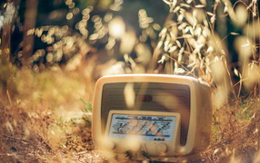 	   Old radio