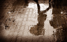 	   Reflection of a man in a puddle