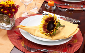 	   Sunflower on a plate