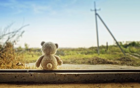 	   Teddy bear waiting for his mistress
