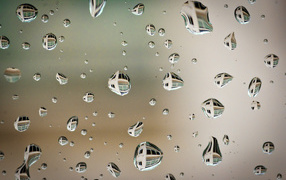 	   The reflection in the drops