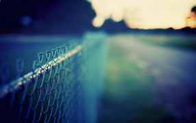 	   The wire mesh fence