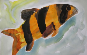 Picture Marlene Dumas - Colorfull fish