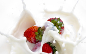 	   Strawberries dipped in milk splashes