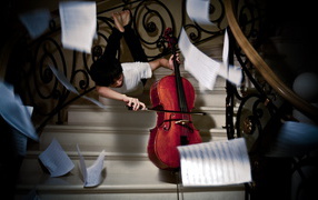 The cello