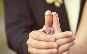 	   Wedding rings on your fingers