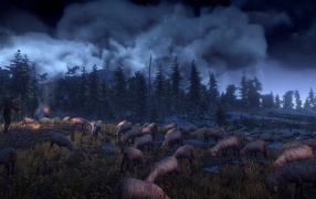 A flock of sheep from the game The Witcher