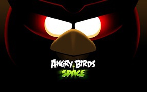 Angry Birds пространство игра