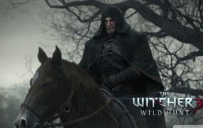 The rider of the Witcher