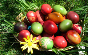 Basket of eggs on grass for Easter