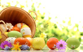 Basket of eggs on green background for Easter