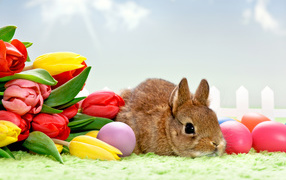 Букет тюльпанов и кролик на Пасху