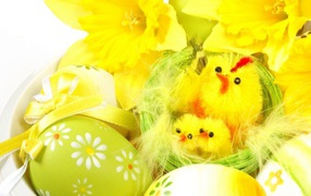 Yellow chickens for Easter